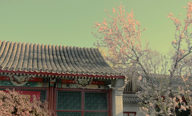 Photo low angle view of temple and trees against sky