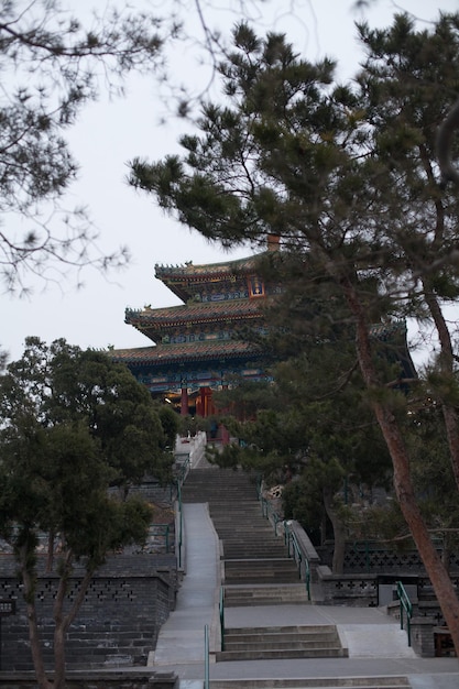 寺院の低角度の景色