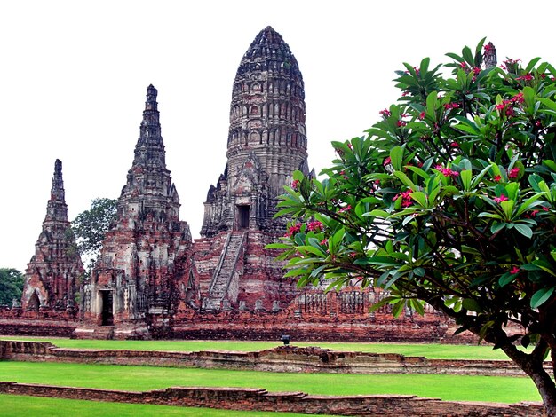 Photo low angle view of temple