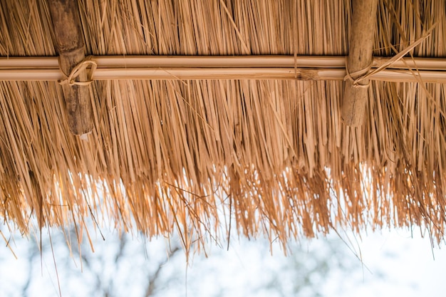 Photo low angle view of thatched roof against sky