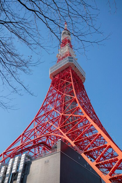 Foto vista a bassa angolazione della torre di tokyo