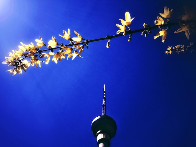 Low angle view of tower against clear blue sky