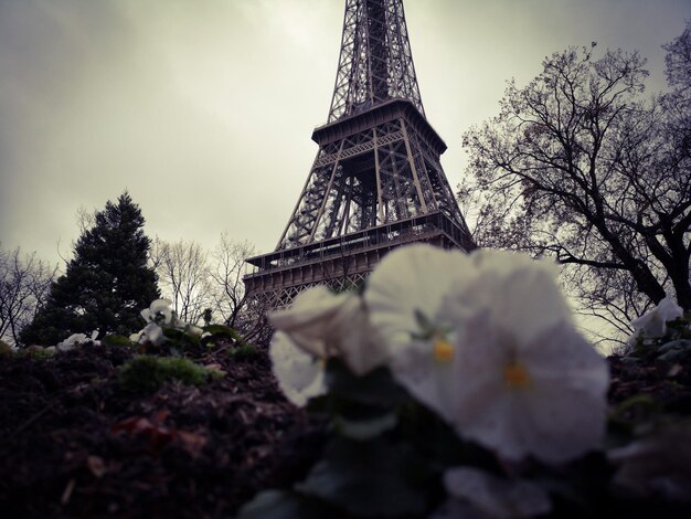 Photo low angle view of tower