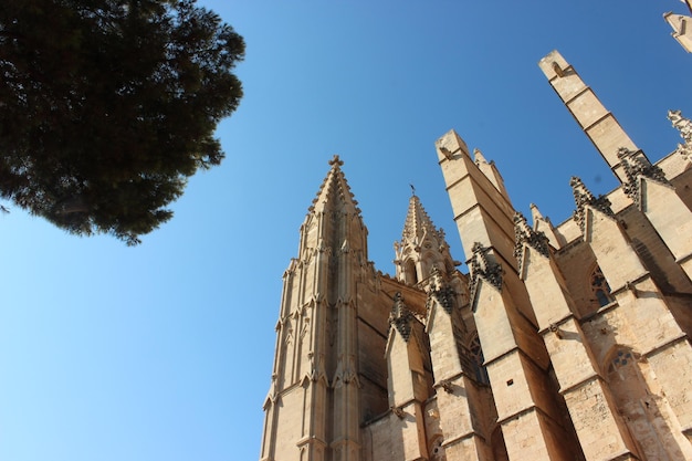 Foto vista a basso angolo di un edificio tradizionale contro un cielo blu limpido