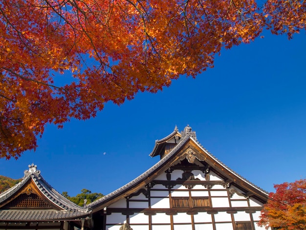 天空に照らされた伝統的な建物の低角度の景色