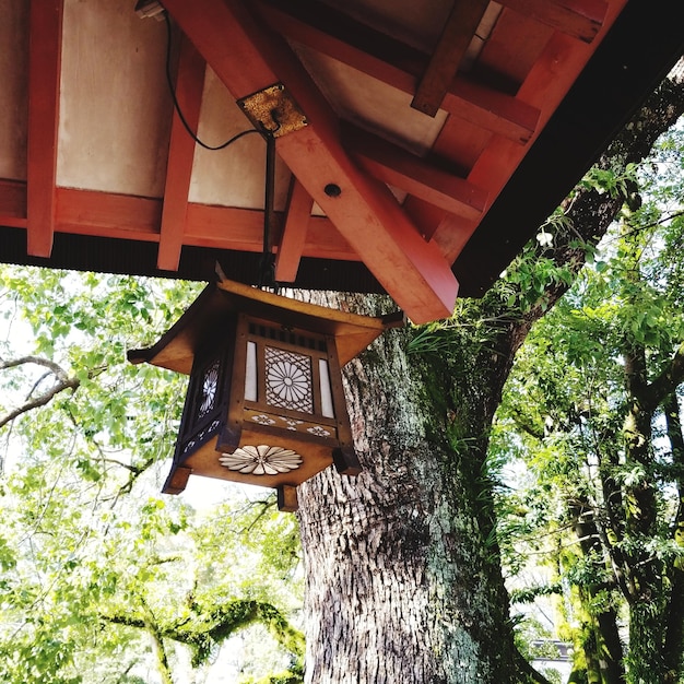 Foto vista ad angolo basso di un edificio tradizionale contro gli alberi