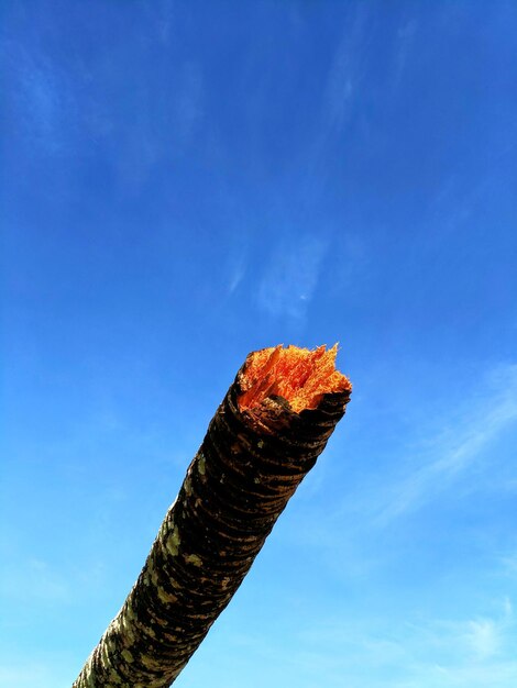 Low angle view of traditional windmill against blue sky