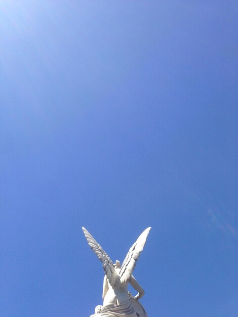 Photo low angle view of tree against blue sky