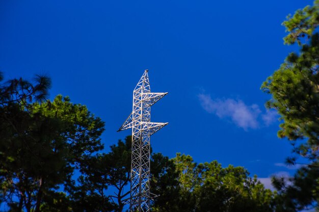 Low angle view of tree against blue sky