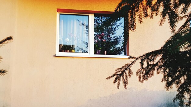 Low angle view of tree against building