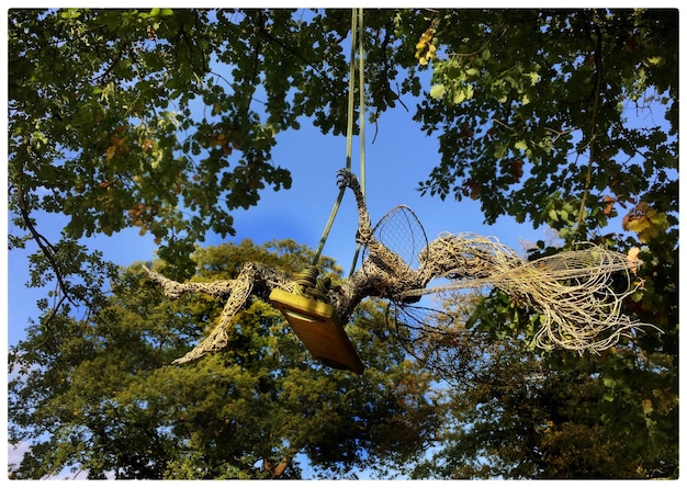 Foto vista ad angolo basso dell'albero contro un cielo limpido