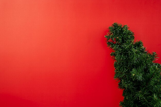 Photo low angle view of tree against red wall