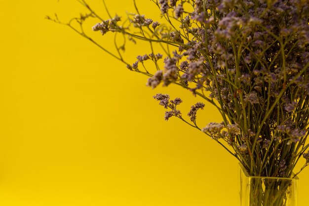 Low angle view of tree against sky during sunset