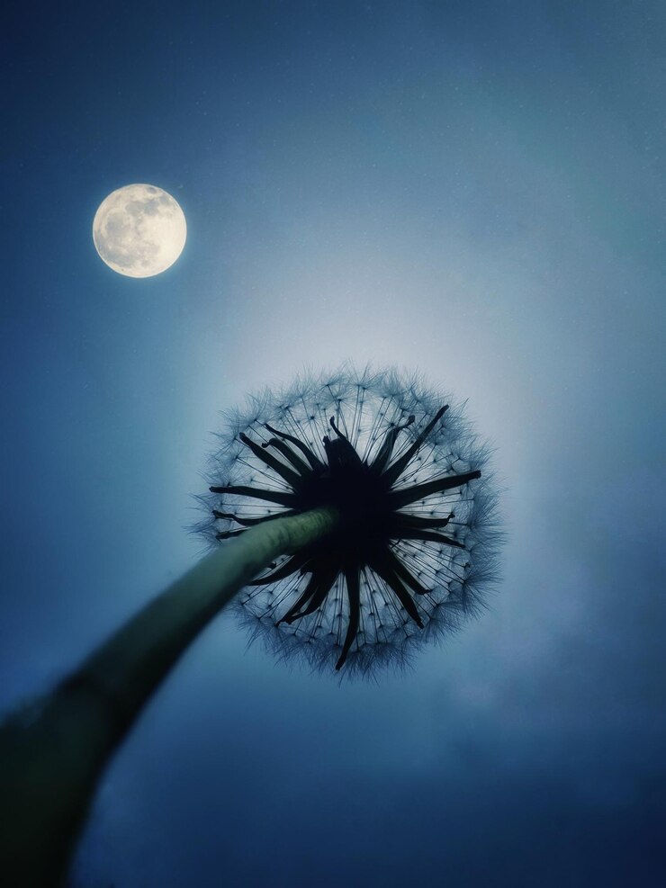 Photo low angle view of tree against sky at night