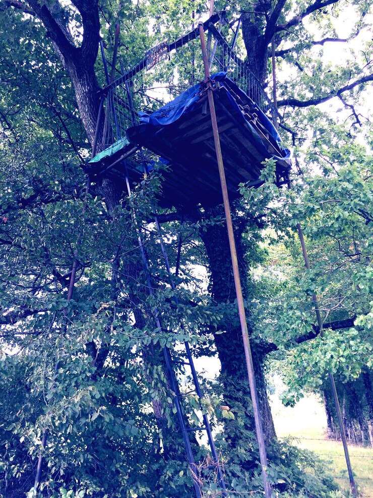 Photo low angle view of tree house