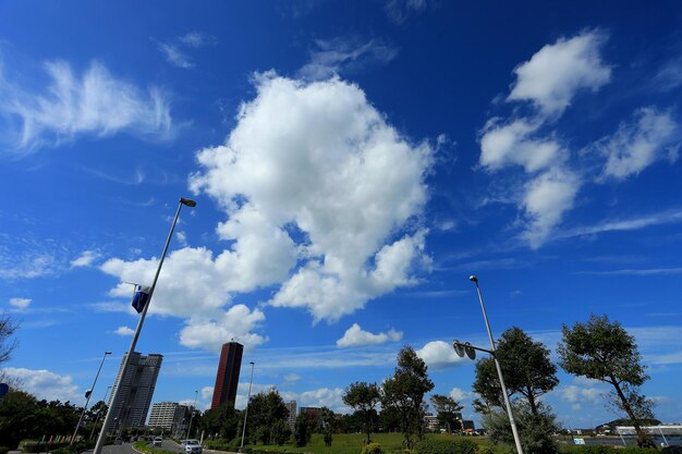 Photo low angle view of trees against blue sky