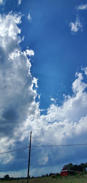 Low angle view of trees against blue sky