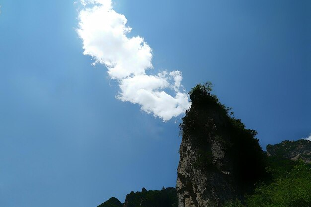 Low angle view of trees against blue sky