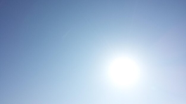 Low angle view of trees against blue sky