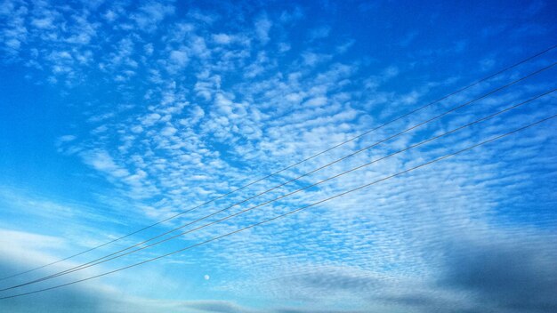 Low angle view of trees against blue sky