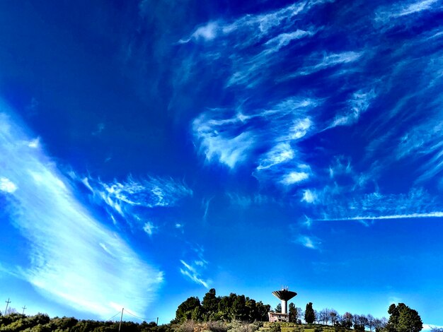 Low angle view of trees against blue sky