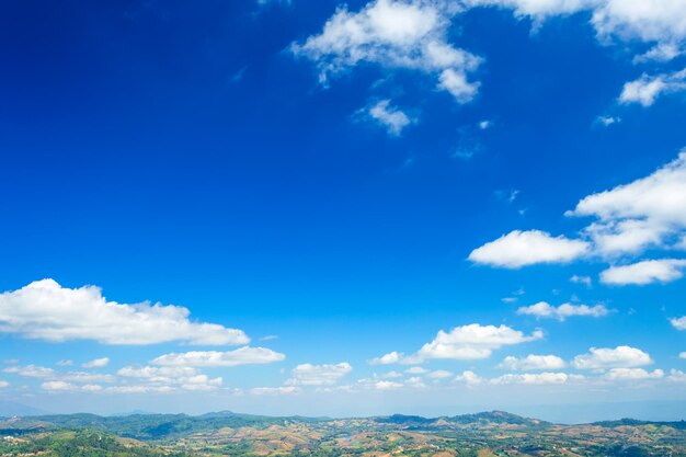 Low angle view of trees against blue sky