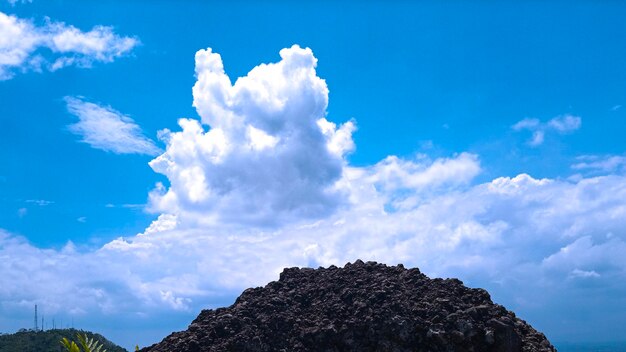 Low angle view of trees against blue sky