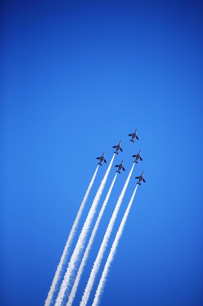 Photo low angle view of trees against clear blue sky