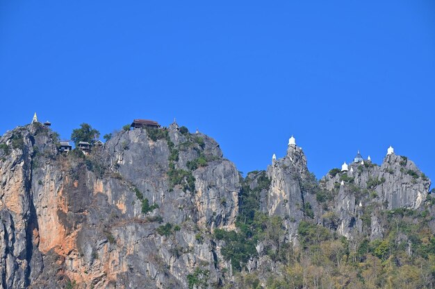 Low angle view of trees against clear blue sky