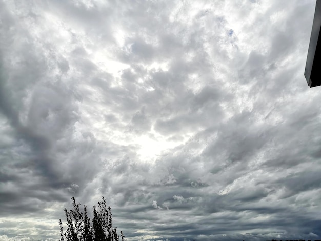 Low angle view of trees against cloudy sky