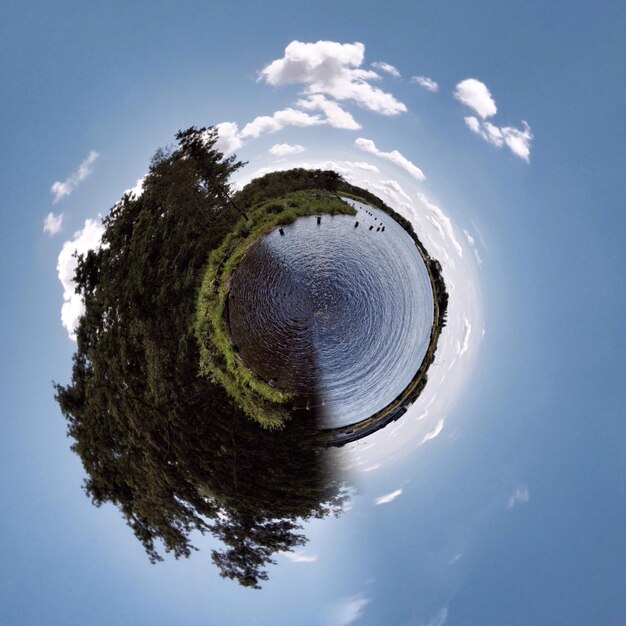 Foto vista ad angolo basso degli alberi contro un cielo nuvoloso