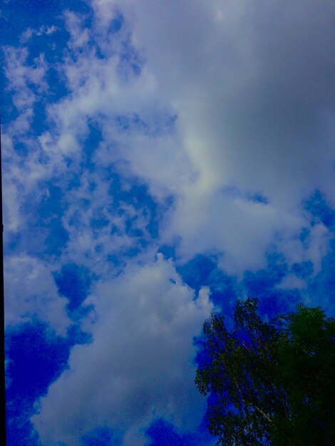 Photo low angle view of trees against cloudy sky