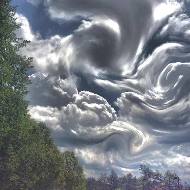 Foto vista ad angolo basso degli alberi contro un cielo nuvoloso