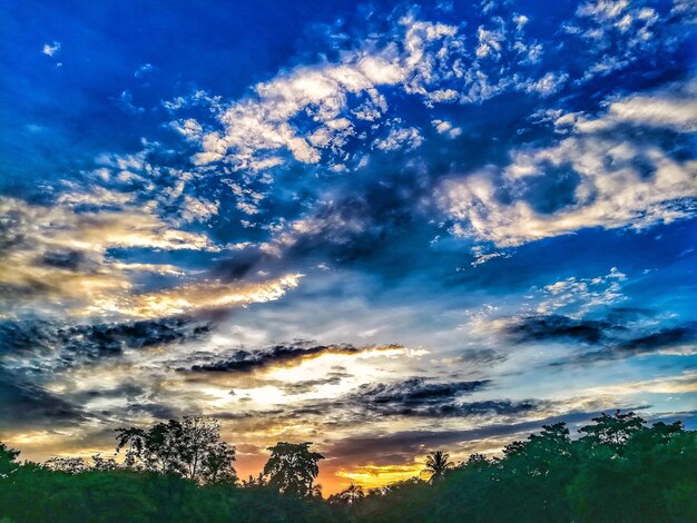 Low angle view of trees against dramatic sky