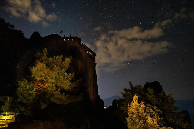 Foto vista a bassa angolazione degli alberi contro il cielo notturno