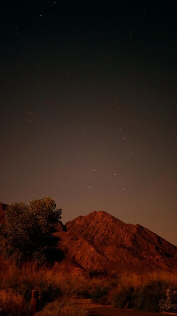 Photo low angle view of trees against sky at night