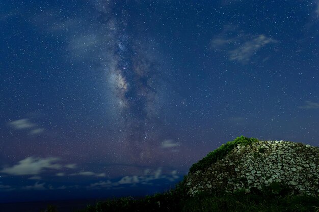 Low angle view of trees against sky at night