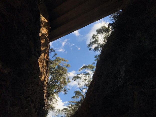 Low angle view of trees against sky seen through window