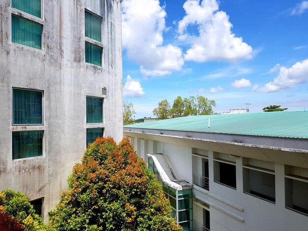 Low angle view of trees against sky