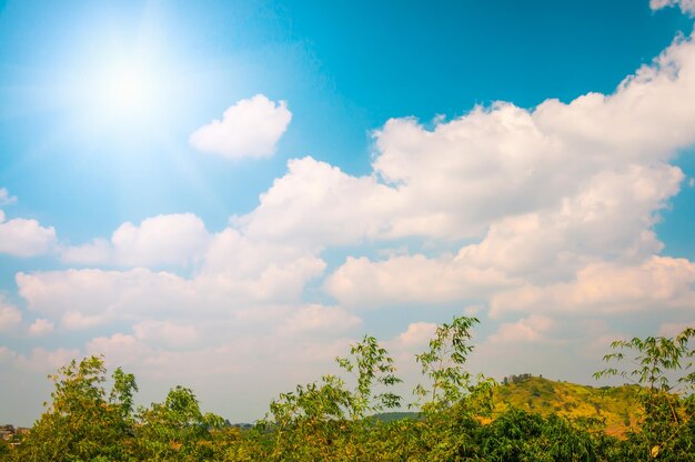 Low angle view of trees against sky