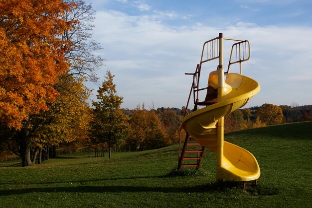 Foto vista ad angolo basso degli alberi contro il cielo