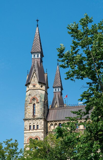 Low angle view of trees and building against sky