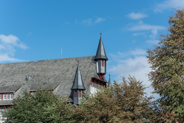 Foto vista ad angolo basso degli alberi e degli edifici contro il cielo