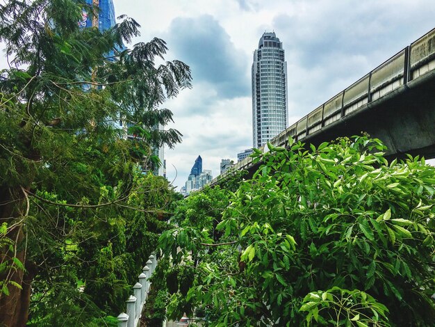 Low angle view of trees and buildings against sky