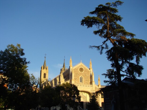 Low angle view of trees and buildings against sky