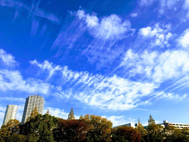 Low angle view of trees and buildings against sky