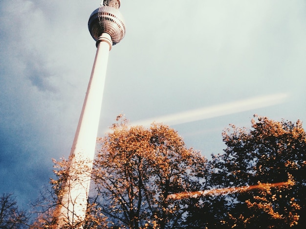 Low angle view of trees by fernsehturm against cloudy sky seen through glass window