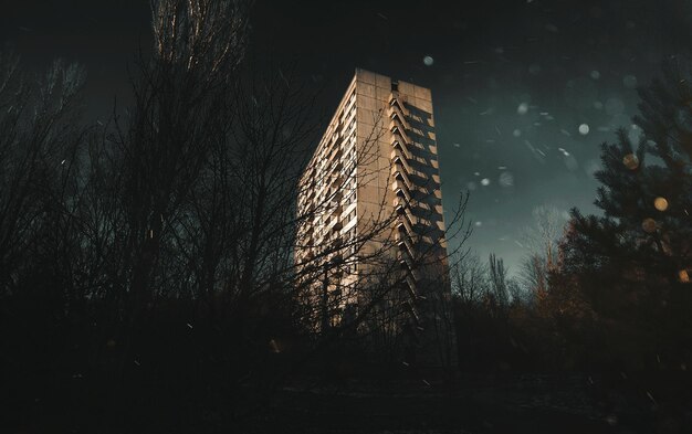 Foto vista a bassa angolazione degli alberi sul lago contro il cielo notturno