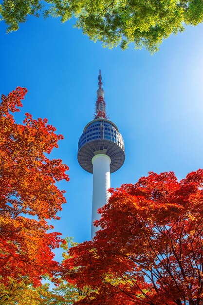 Low angle view of trees in city