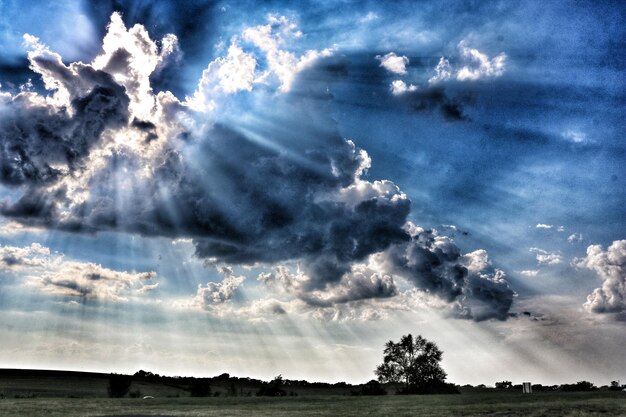 Photo low angle view of trees on landscape against sky